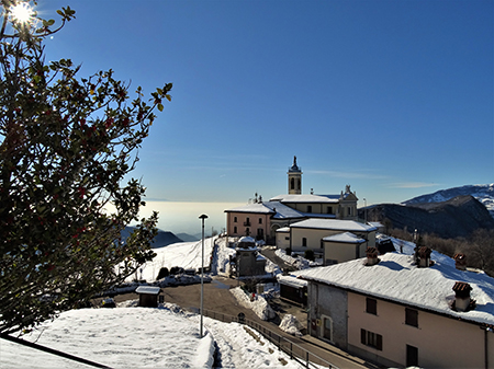 Sulle nevi del Monte Zucco (1232 m ) da S. Antonio Abbandonato (987 m) sui sent. 505-506 il 14 gennaio 2021 - FOTOGALLERY